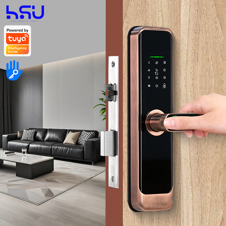 Home Security Doors - Serratura Digitale Intelligente con Codice, Maniglia