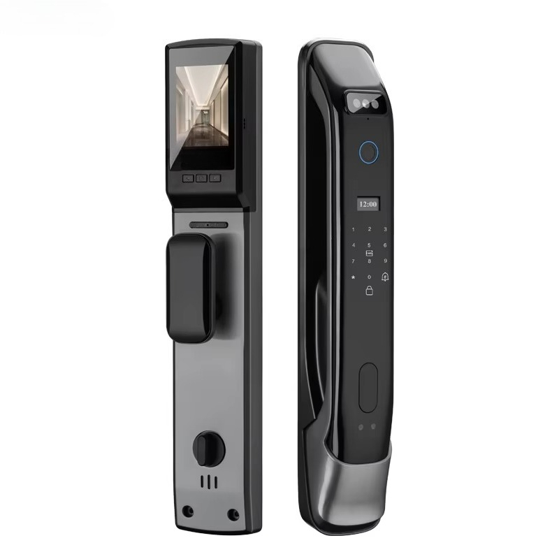 XSDTS DF03 Riconoscimento facc - Home Security Doors recensione e prezzo