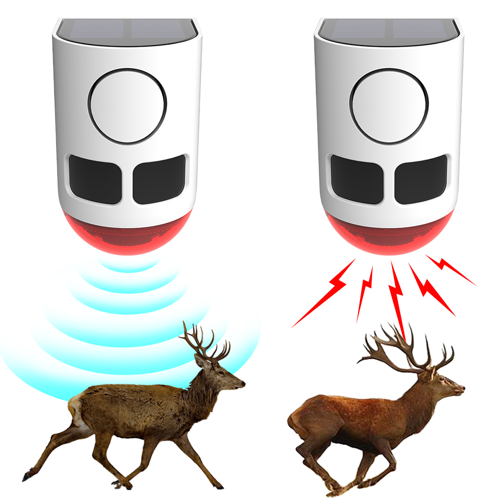 Allarme Solare da Esterno con  - Home Security Yard Sensors recensione e prezzo