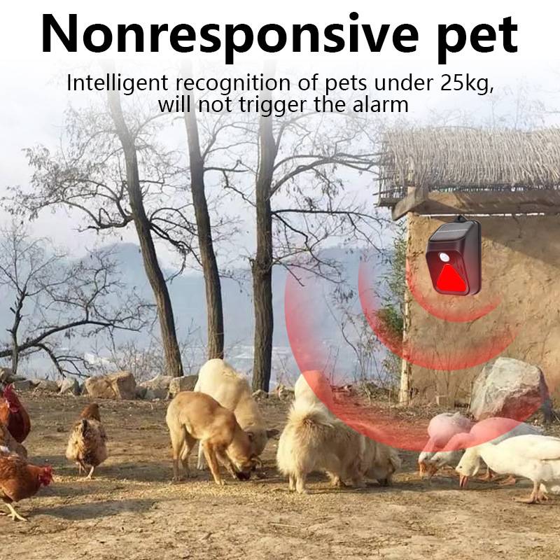 Impermeabile ad energia solare - Home Security Yard Sensors recensione e prezzo