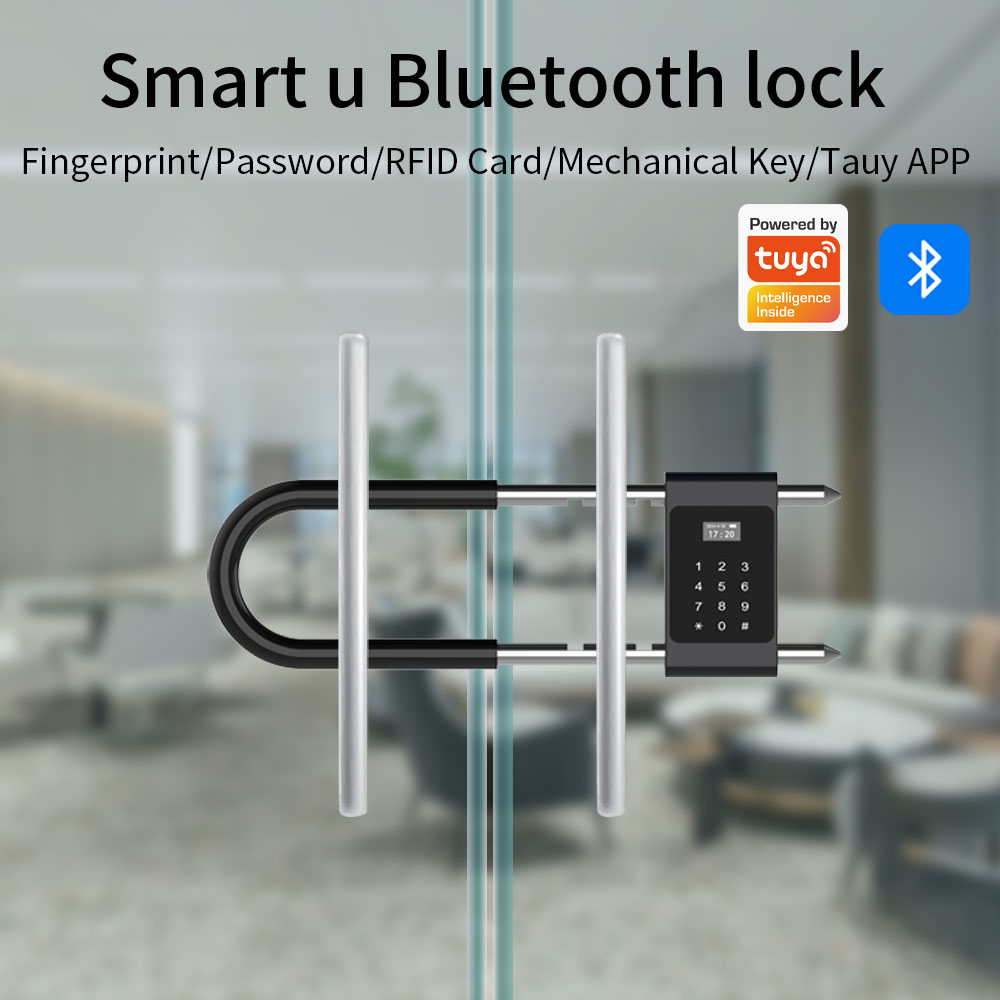 Serratura Elettronica Biometri - Home Security Electronics recensione e prezzo