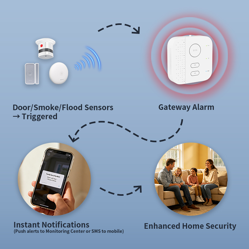 Gateway di Sicurezza per la Ca - Home Security For Seniors recensione e prezzo